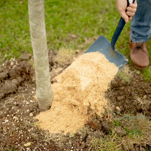 Sawdust Soil Conditioner and Weed Mulch - Image 3