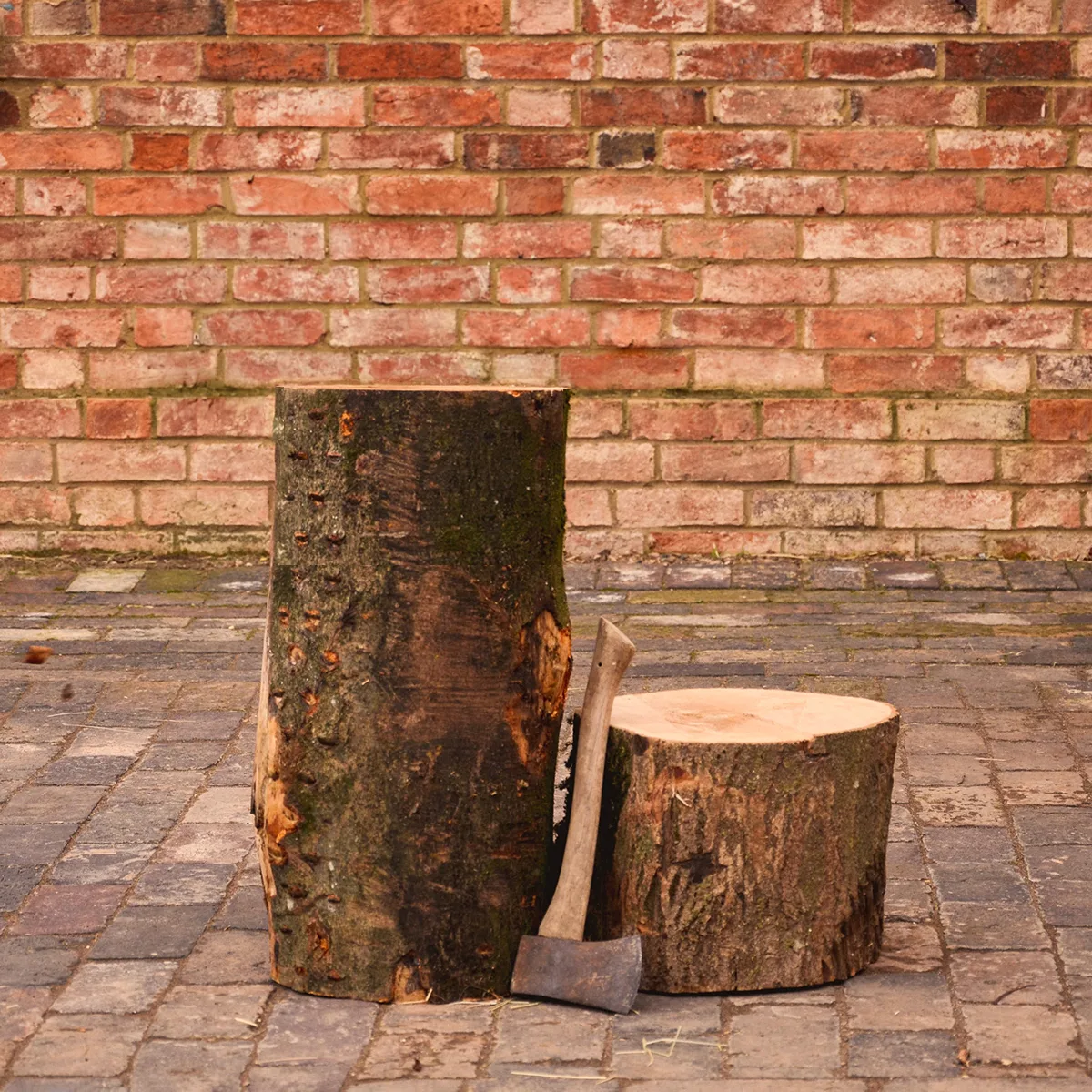 Chopping Block - Image 2