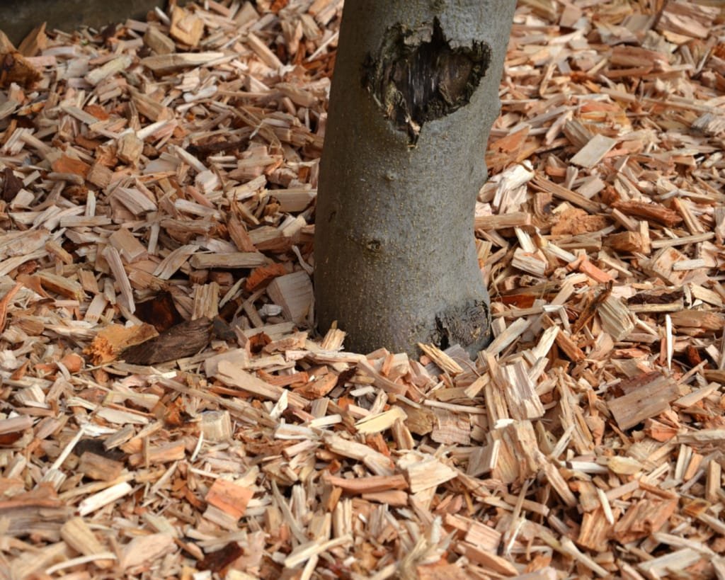 Woodchip Mulch Nene Valley Firewood